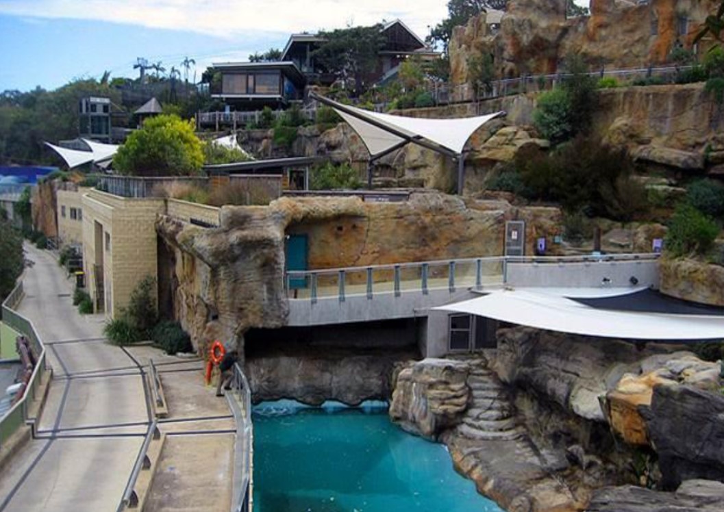 Mock rock in a seal enclosure.